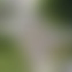 Jackson Street Roundabout - Complete