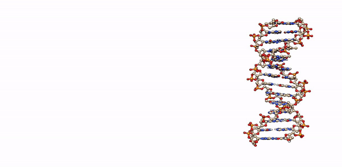 ezgif.com-gif-maker (5)