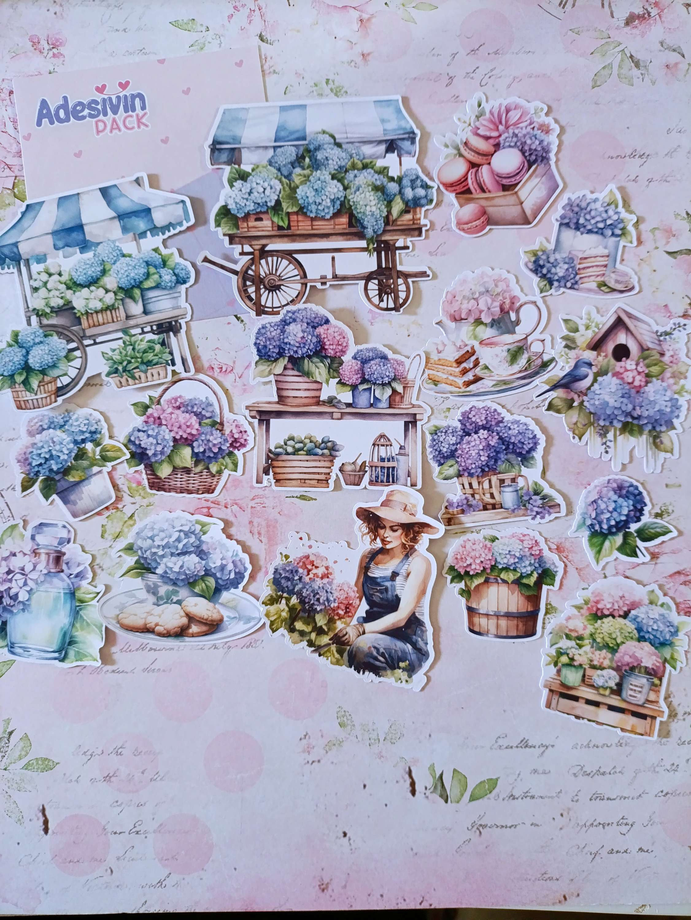 P02 - Adesivin Pack Banca de Flores