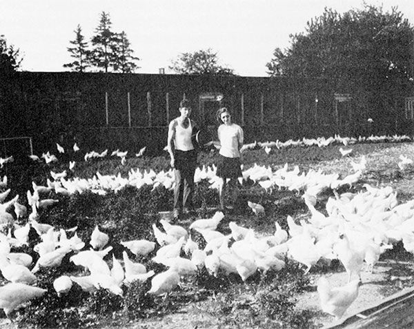 Smelkinson Farms.jpg