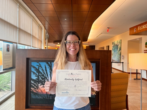 Teacher Highlight: Kimberley Latford