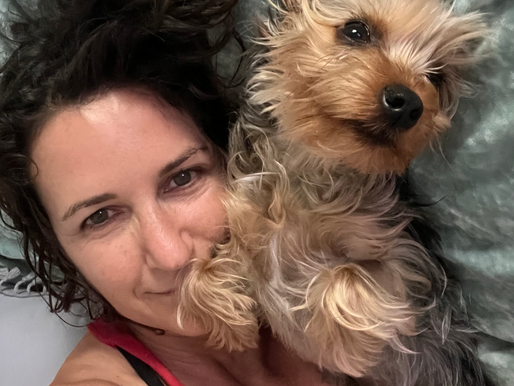 Teacher Highlight: Karrie AuBuchon