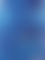 Author Spotlight: Juania Sueños