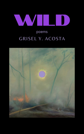Author Spotlight: Dr. Grisel Y. Acosta