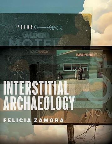 Review of Interstitial Archaeology by Felicia Zamora