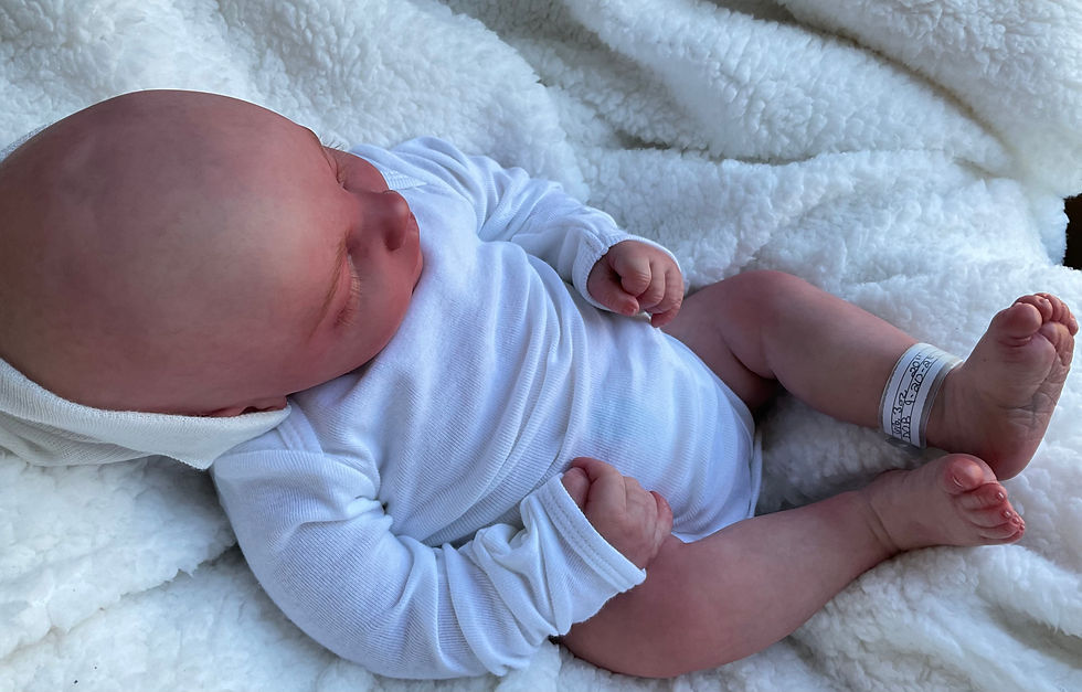 Thumbnail: REALBORN REBORN Reese Asleep K-591 Karen’s Creations