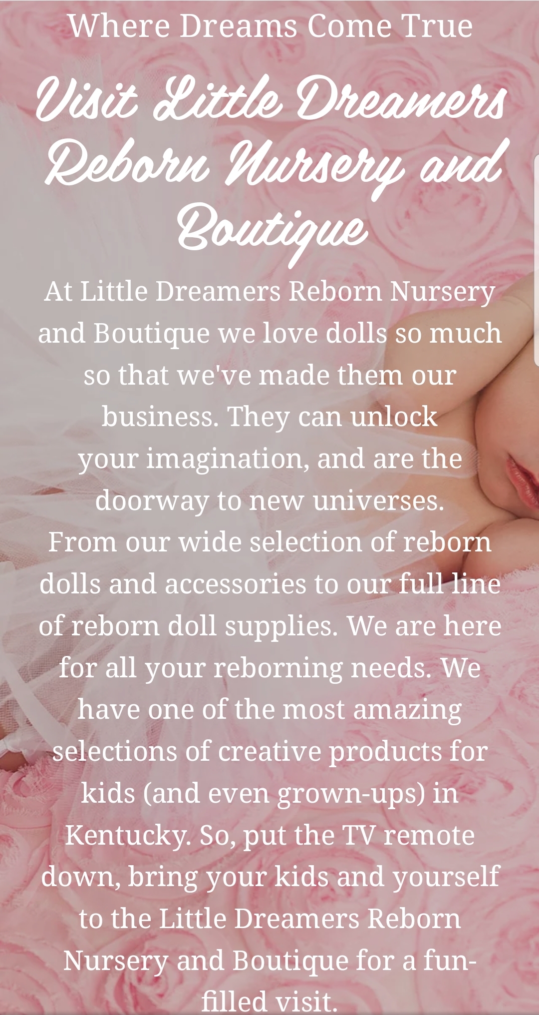 Writer: Little Dreamers Reborn Nursery