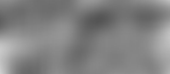 Hitler lied and Germans died!