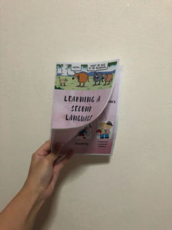 Pamphlet for the workshop