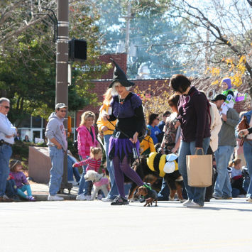 Lakewood Spooky Pooch Parade