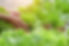 shutterstock_1028847592.jpeg
