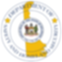 dshs logo.png