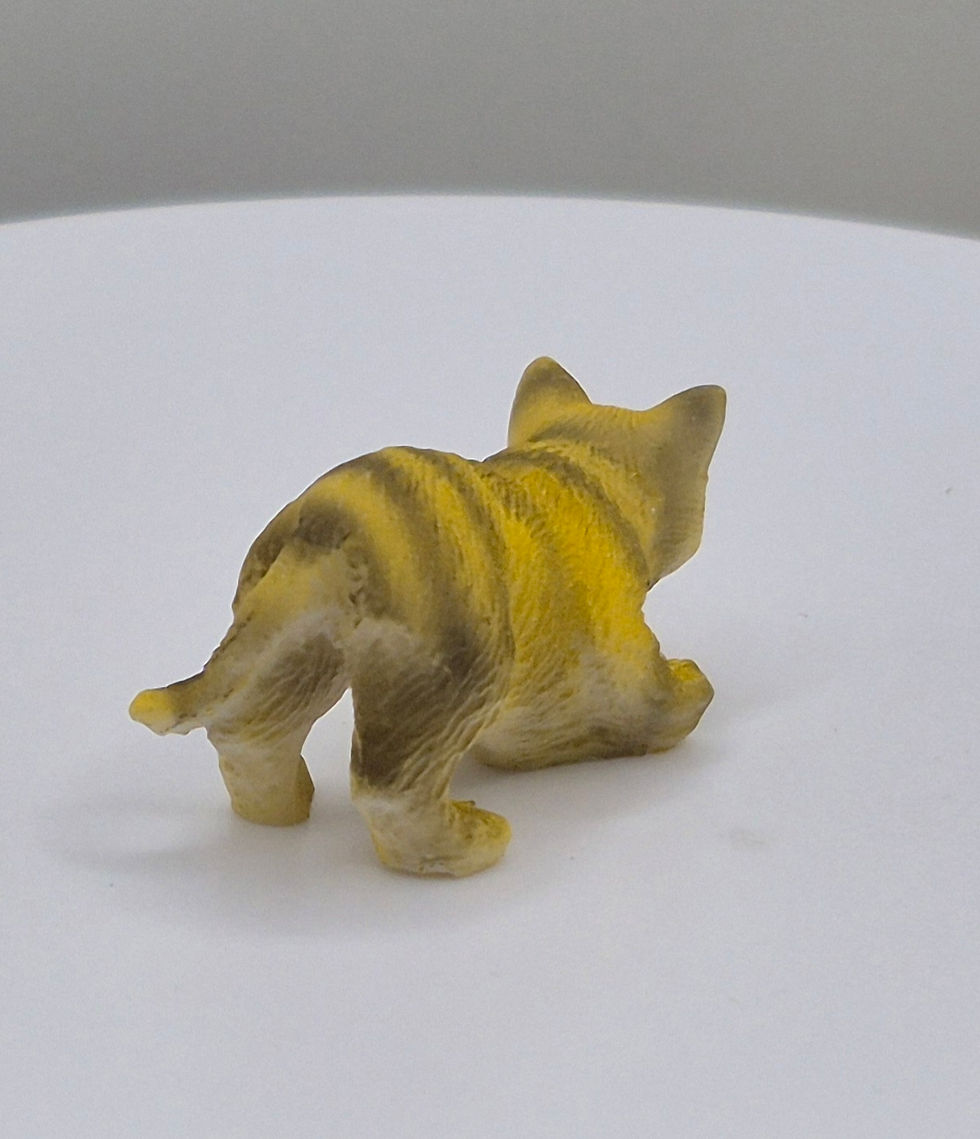 Thumbnail: Tabby Cat