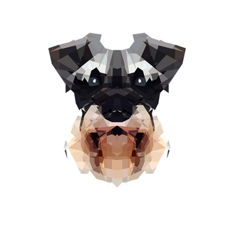 slide7png