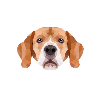 slide19png