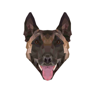 slide11png