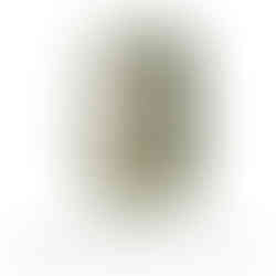 frameless shower screen melbourne hardware colour brushed nickel