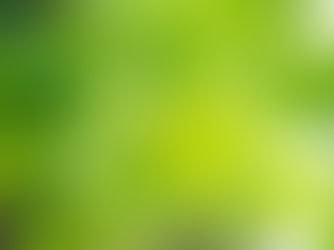 Nuevas Plantas Contra El Cambio Climático
