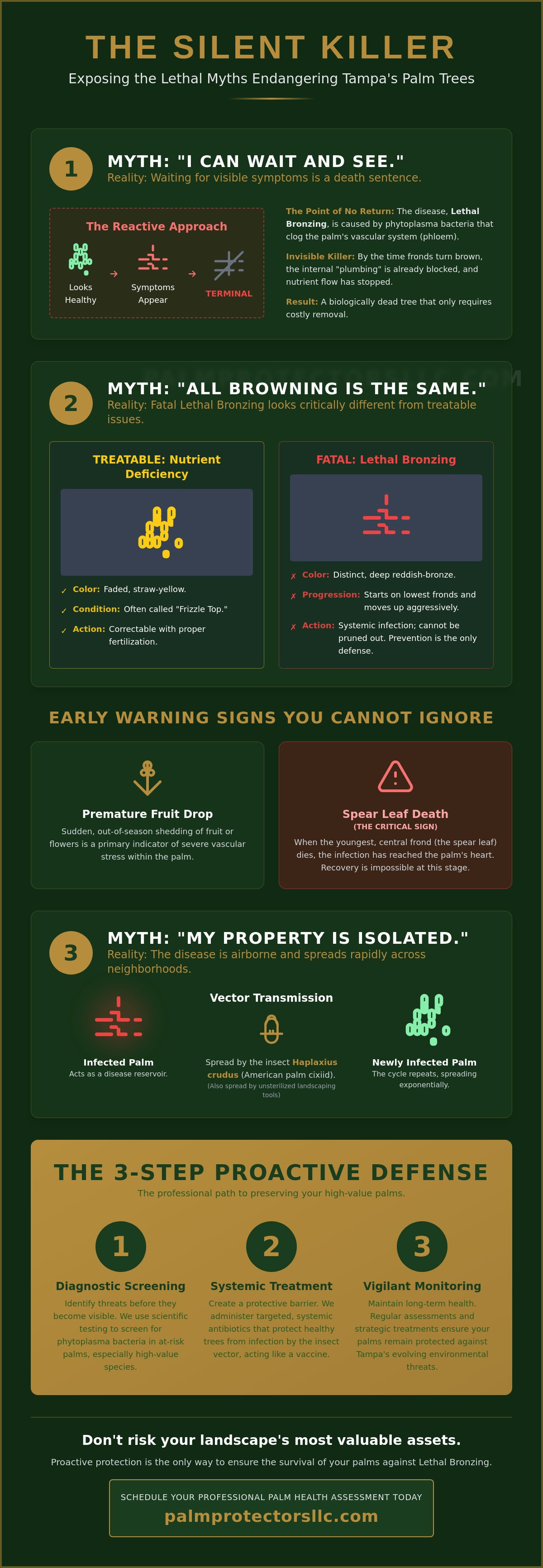 Palm tree disease control Tampa