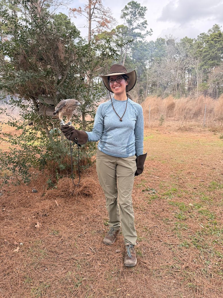 Sunny Days and Lots of Birds