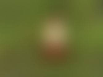 In the Blink of an Eye