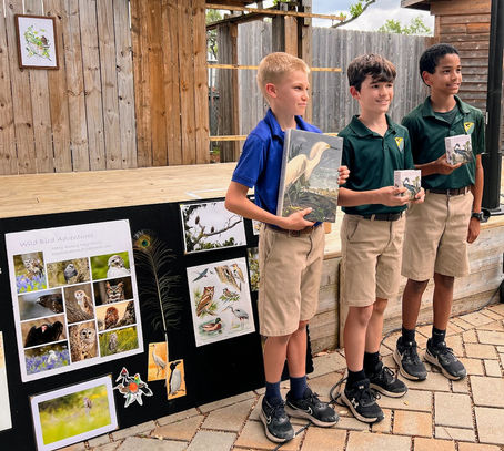 A Celebration of Birds