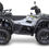 Thumbnail: 600 cc TGB ATV