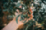 marita-mones-Dou2Hef67NA-unsplash_edited.jpg