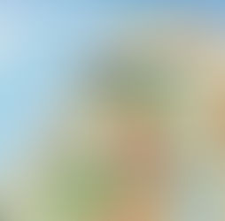 נושא: טיפ בטיחות 08/26 – (טיפ אוטומציה מס׳ 5) – הוצאת מיקום (נ"צ) המטוס בעזרת המערכות