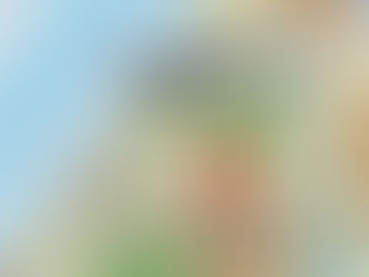 נושא: טיפ בטיחות 08/26 – (טיפ אוטומציה מס׳ 5) – הוצאת מיקום (נ"צ) המטוס בעזרת המערכות