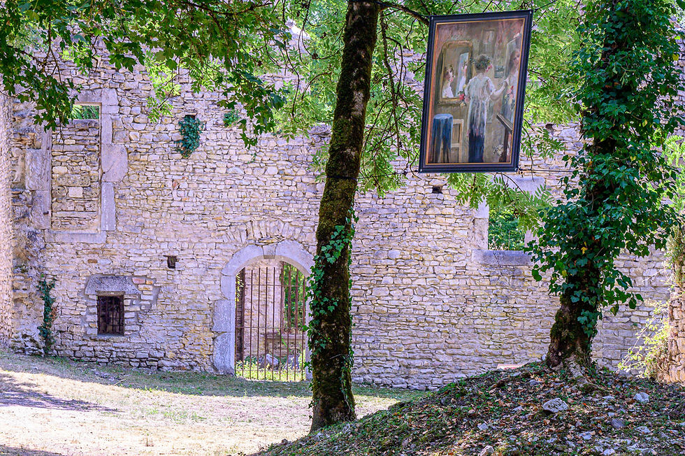 _ZSC3821 copie.JPG