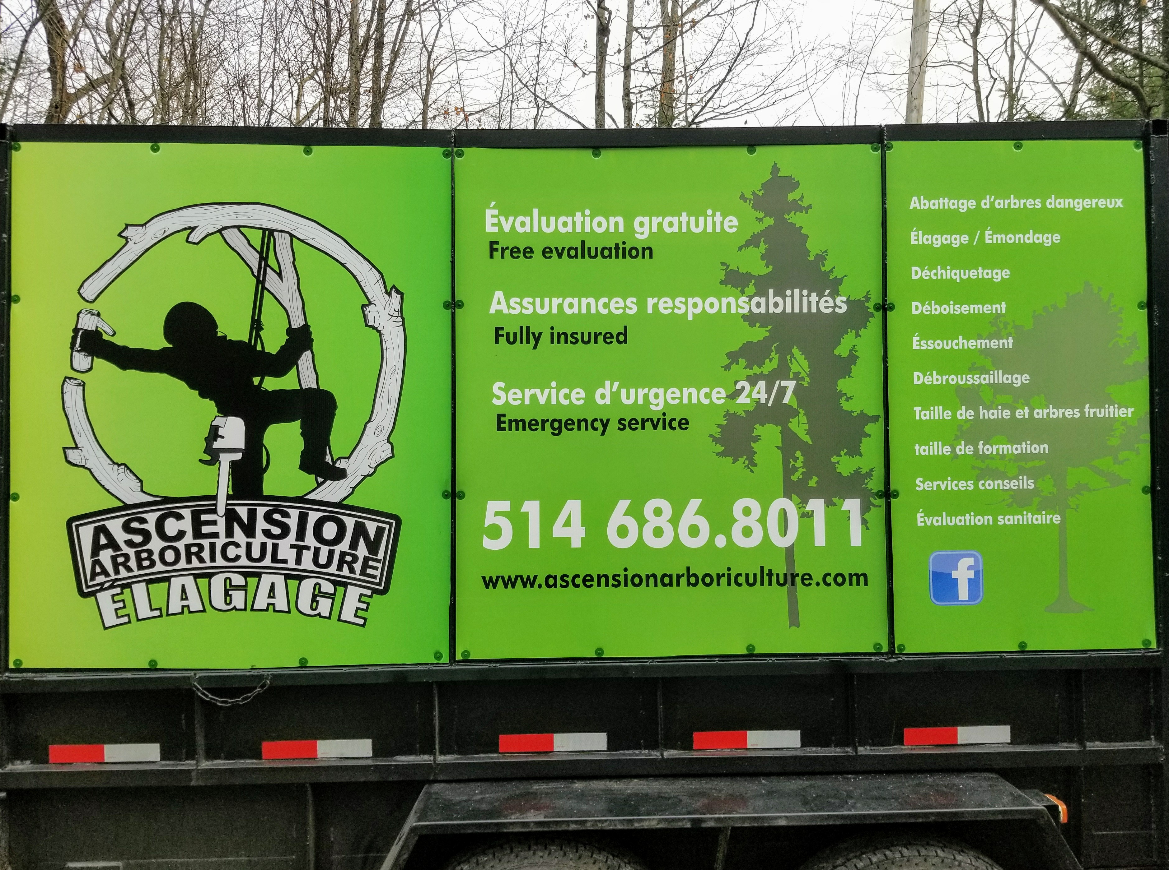 Ascension Arboriculture Élagage
