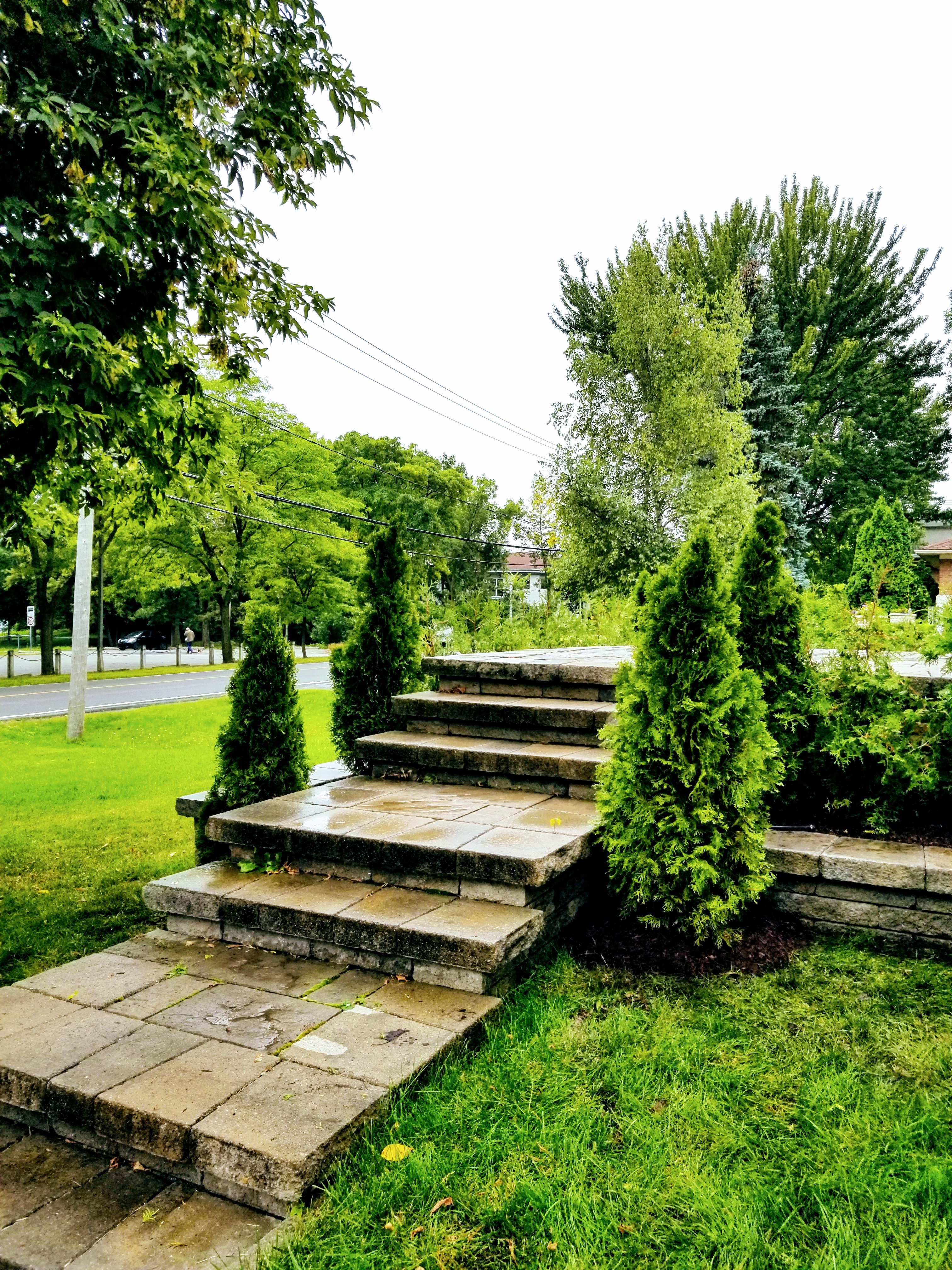 Plantation arbre Lanaudière