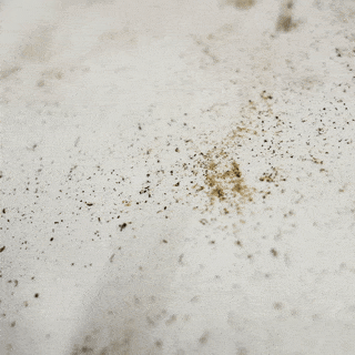 Glide-Effect-GIF-1.gif