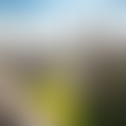 Cançons i desamors: etnografia accidental d’un seminari a Cambridge