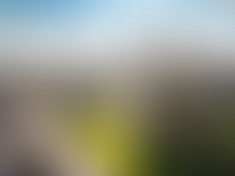 Cançons i desamors: etnografia accidental d’un seminari a Cambridge