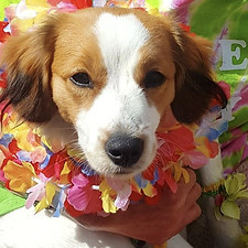 15 Photo 8_edited.jpg