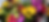 Untitled design - 2026-03-20T200040.482.png