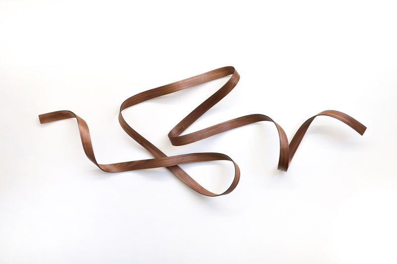 Universal IV (2026), carbon fibre, walnut timber veneer, sculpture by Ray Haydon