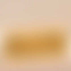 Chiusura per ferie estive