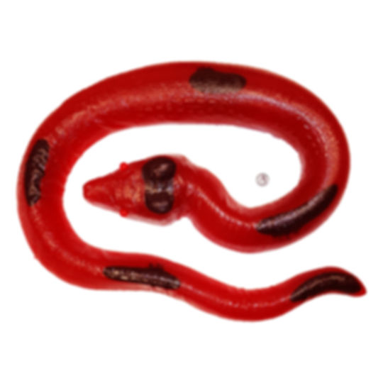 World's Biggest Gummy (TM) Python
