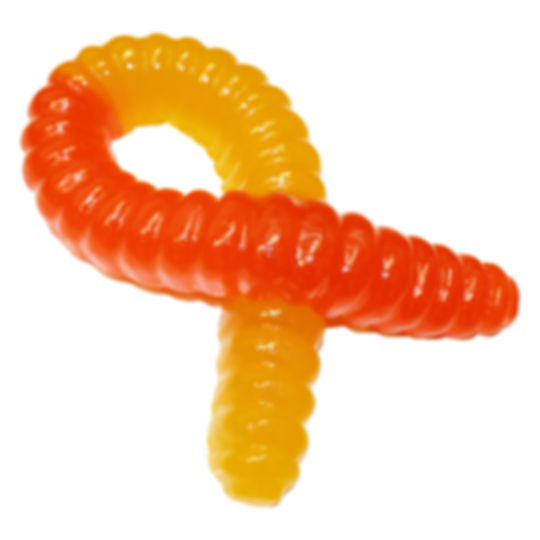 World's Largest Gummy Worm (Lemon & Orange)