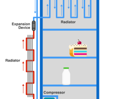 Everyday Life - The Physics/Thermodynamics Behind your Refrigerator