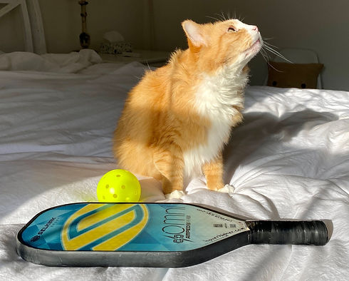 Cat with pickleball gear.jpeg