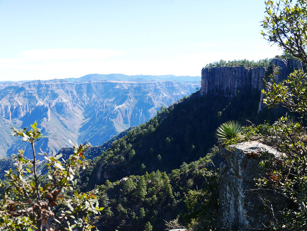 Barrancas del Cobre, The Copper Canyon, Chihuahua, Mexico scenic view from the rim