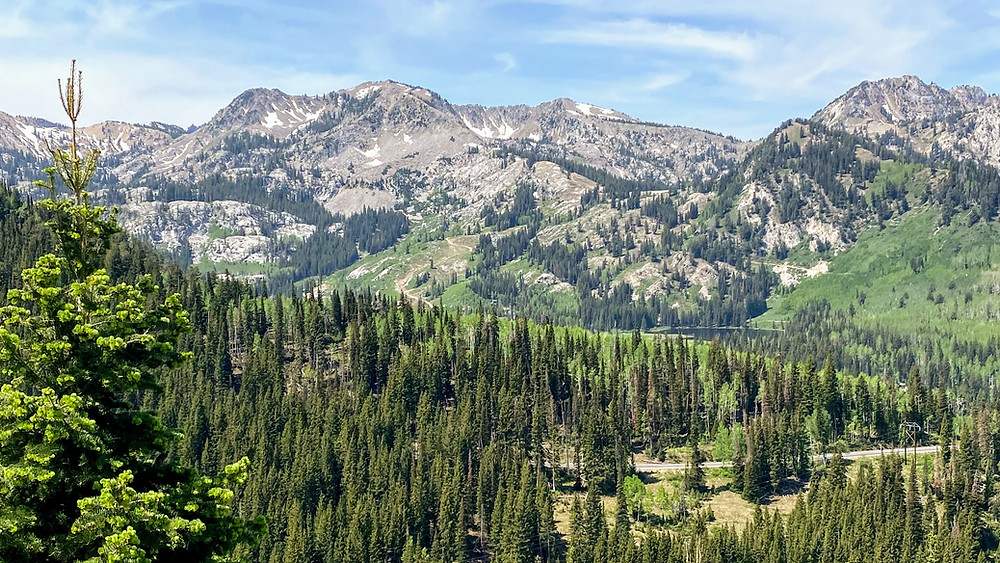 Beautiful Wasatch mountain view from Guardsman pass road Utah