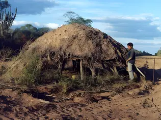 Paraguay: A Call to Protect Uncontacted Ayoreo