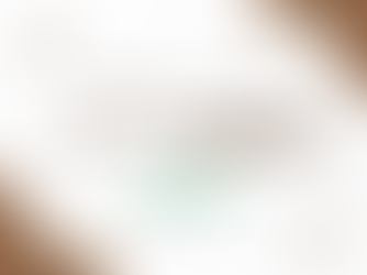 ボーネルンド社公式メディアにて、当協会理事長の取材記事が掲載