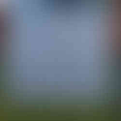 Werbeschild des Bauvorhabens Solitär 2 davor ein Metallzaun und grüne Wiese