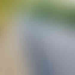 Neue Asphaltdecke mit Bordsteinkante im Hintergrund ein Haus mit grüner Hecke